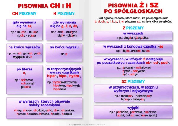 ortografia - plansza edukacyjna z języka polskiego